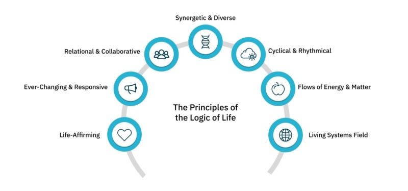 the principles of the logic of life